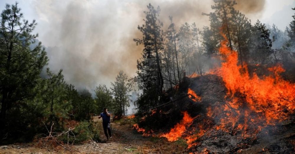Ne 24 oret e fundit u raportuan 25 vatra zjarri, vetem 1 eshte aktive